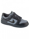 NIKE - Meeste vabaaja jalatsid, Nike Dunk Low Retro SE FZ3052-001