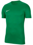 NIKE - Meeste T-s&auml;rk, Nike Park VII Tee BV6708-302