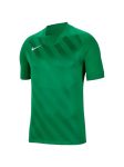 NIKE - Laste T-s&auml;rk, Nike Dri-Fit Challenge 3 Jr Tee BV6738-302