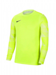 NIKE - Laste pikkade varrukatega T-s&auml;rk, Nike Dry Park IV JSY Jr LS CJ6072-702