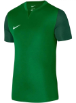 NIKE - L&uuml;hikeste varrukatega meestes&auml;rk, TROPHY V JSY DR0933-302