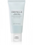 SKIN1004 - &Ouml;ine n&auml;omask h&uuml;aluroonhappe ja tsentellaga, 30 ml