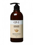 ESTHETIC HOUSE - Puhastav &scaron;ampoon ingveriga CP-1 GINGER PURIFYING, 500 ml