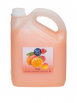 NORD CLEAN - Vedel k&auml;teseep (mango l&otilde;hnaga), 3 l