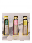 ACCENTRA - Ingveri ja piparm&uuml;ndi l&otilde;hnastatud k&auml;si-/k&uuml;&uuml;sekreem, 3x60 ml