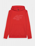 4F - Meeste kapuutsiga kampsun