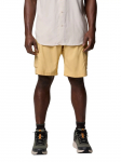 COLUMBIA - Meeste l&uuml;hikesed p&uuml;ksid, Columbia Silver Ridge Utility Cargo Shorts 2030744010