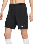 NIKE - Meeste l&uuml;hikesed p&uuml;ksid, Nike Park III Shorts BV6855-010
