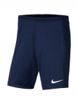 NIKE - Meeste l&uuml;hikesed p&uuml;ksid, Nike Park III Shorts BV6855-410