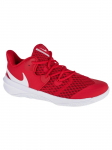 NIKE - Meeste jalatsid, Nike Zoom Hyperspeed Court CI2964-610