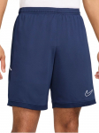 NIKE - Meeste l&uuml;hikesed p&uuml;ksid, Nike Academy Dri-FIT Knit Shorts FZ9776-410