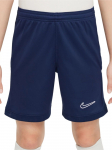 NIKE - Laste l&uuml;hikesed p&uuml;ksid, DRI FIT ACADEMY 25 SHORTS FZ9784-410