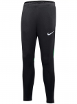 NIKE - Lastep&uuml;ksid, Nike Youth Academy Pro Jr Pant DH9325-011