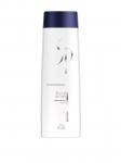 WELLA PROFESSIONALS - &Scaron;ampoon heledatele juustele (Silver Blond), 250 ml