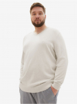 TOM TAILOR PLUS - Meeste džemper