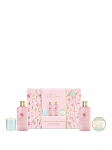 BAYLIS&HARDING - Kehahoolduskomplekt: vannivaht 300 ml, du&scaron;ikreem 300 ml, k&auml;si- ja k&uuml;&uuml;nekreem 50 ml, k&uuml;&uuml;nal 60 g (roos, moon, vanilje).