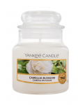 YANKEE CANDLE - K&uuml;&uuml;nal, kamelia&otilde;ie, 104 g