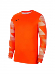 NIKE - Laste pikkade varrukatega T-s&auml;rk, Nike Dry Park IV JSY Jr LS CJ6072-819