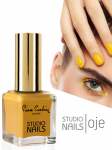 PIERRE CARDIN - K&uuml;&uuml;nelakk (66), 11,5 ml