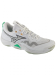 MIZUNO - Meeste jalan&otilde;ud, Mizuno Wave Momentum Elite V1GA251221