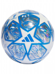 ADIDAS PERFORMANCE - Unisex jalgpall, adidas UEFA Meistrite Liiga treeningpall IN9326