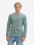 TOM TAILOR DENIM - Meeste džemper