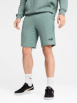 PUMA - Meeste spordip&uuml;ksid, ESS NO.1 LOGO SHORTS, ESS NO.1 LOGO SHORTS