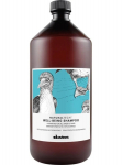 DAVINES - Igap&auml;evane niisutav &scaron;ampoon, 1 L