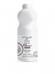 BYPHASSE - Palsam v&auml;rvitud juustele kookosekstraktiga, 400 ml