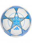 ADIDAS PERFORMANCE - Unisex jalgpall, adidas UEFA Meistrite Liiga treeningpall JP1534