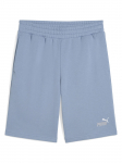 PUMA - Meeste vabaaja l&uuml;hikesed p&uuml;ksid, ESS 2 COLOR LOGO