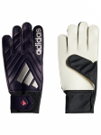 ADIDAS PERFORMANCE - Meeste kindad, adidas Copa Club Goalkeeper Gloves IX3836