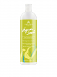 KALLOS - &Scaron;ampoon kuivadele, kahjustatud juustele, 1000 ml