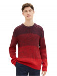 TOM TAILOR DENIM - Meeste kampsun