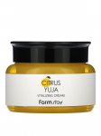 FARMSTAY - Toitev n&auml;okreem CITRUS YUJA VITALIZING CREAM, 100 ml
