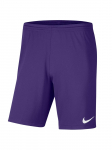 NIKE - Meeste l&uuml;hikesed p&uuml;ksid, Nike Park III Shorts BV6855-547