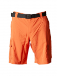COLUMBIA - Meeste l&uuml;hikesed p&uuml;ksid, Columbia Silver Ridge Utility Cargo Shorts 2030744851