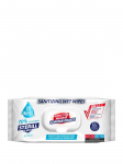 GO WIPES - Desinfitseerivad biotsiidipuhastuslapid pindade ja naha desinfitseerimiseks Sterill Bio, 50 tk.