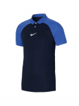 NIKE - Meeste s&auml;rk, Nike Academy PR Dri-FIT SS Polo DH9228-451