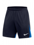NIKE - Meeste l&uuml;hikesed p&uuml;ksid, Nike Dri-FIT Academy Pro Short DH9236-451