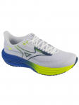 MIZUNO - Meeste jalan&otilde;ud, Mizuno Wave Rider 29 J1GC250353
