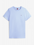 TOMMY JEANS - L&uuml;hikeste varrukatega meeste T-s&auml;rk, TJM REG SFLAG SS TEE EXT