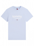 TOMMY JEANS - L&uuml;hikeste varrukatega meeste T-s&auml;rk, TJM SLIM GRAPHIC TEE EXT