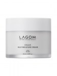 LAGOM - Niisutav n&auml;okreem CELLUS DEEP MOISTURE CREAM, 60 ml