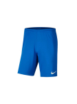 NIKE - Meeste vabaaja l&uuml;hikesed p&uuml;ksid, PARK III SHORTS BV6855-463