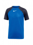 NIKE - Laste s&auml;rk, Nike DF Academy Pro SS Jr Top DH9277-463