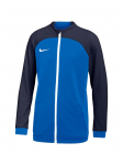NIKE - Laste kampsun, Nike Dri FIT Academy Pro Jr DH9283-463
