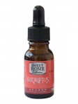 SWEET HOME - EUCALIPTUS siseruumide hingamisaparaat, 15 ml