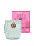 SPIRITUAL - L&otilde;hnak&uuml;&uuml;nal (kameelia lillel&otilde;hnaline) TSUBAKI, 80 g