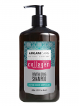 ARGANICARE - &Scaron;ampoon argaania&otilde;liga, 400 ml